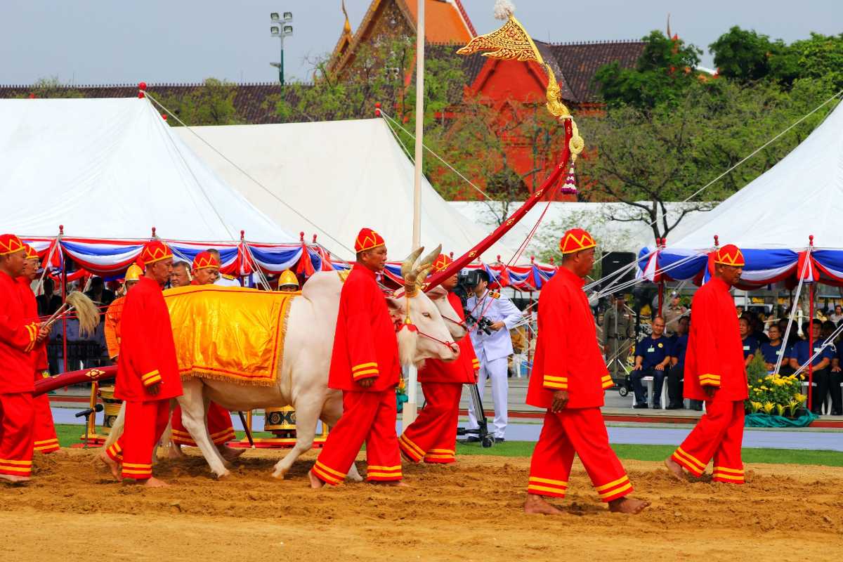 Royal Ploughing Ceremony Thailand